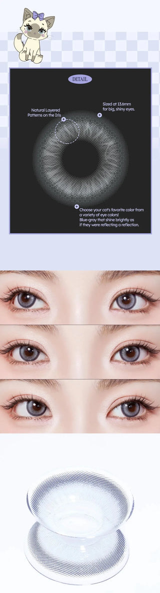 A diagram and close-up photos show Olola Meow Vivid Burman Grey contacts by Olola on an eye, highlighting their natural-looking layered design—perfect grey color contacts for dark eyes. A single lens appears in a clear case with a cat cartoon in the corner.