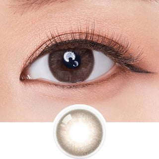 A close-up of an eye with natural makeup wearing Olola Mellows 1-Day Muse Brown (10pk) lenses for a subtle look. Below is a single Olola Muse Brown hydrating lens on a white background.