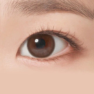 A close-up of a brown-eyed person with long lashes and a groomed brow, wearing NEO Vision Neoism Dali Choco 1-Day (50pk) lenses. Smooth skin and a light-toned background complete the natural look.