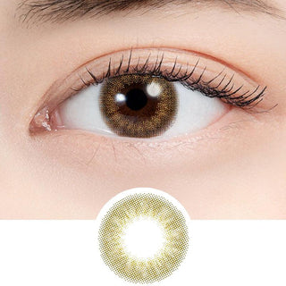 N's Collection Hojicha Latte Brown (10pk) - EyeCandys