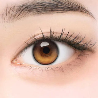 A close-up of a human eye with a brown iris, long lashes, and a neat brow, showcasing i-Girl One Pick Balance Golden Hour Brown color contacts by i-Girl for natural-looking eye color enhancement. The smooth skin around the eye is light in tone.