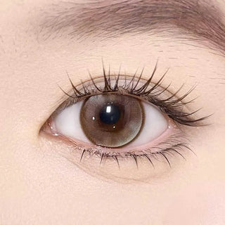 A close-up of a brown eye with long, curled lashes and a smooth, light complexion. The eye features Olola Meow Vivid Savannah Brown contacts by Olola, enhancing the natural iris for a striking look.