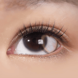 A close-up of a brown eye with long, curled lashes and subtle shimmery makeup, featuring EyeCandys Brown Heart contact lenses by EyeCandys. The skin looks smooth and radiant.