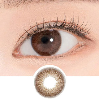 Close-up shot of a model's eye wearing Lensrang Hibiscus Rich Brown color contacts with prescription, paired with K-beauty-inspired eye makeup, showing the brightening and enlarging effect of the circle contact lens on dark brown eyes, above a cutout of the contact lens pattern with limbal ring on a white background.