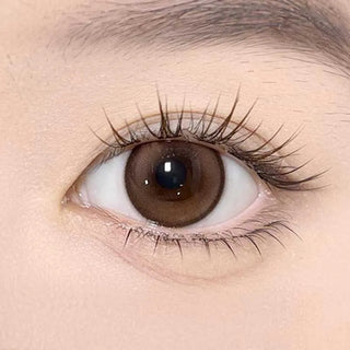 A close-up of a human eye with long lashes and a brown iris, enhanced by Olola Meow Natural Coon Brown color contacts from Olola, highlighting clear skin and eyebrow details.