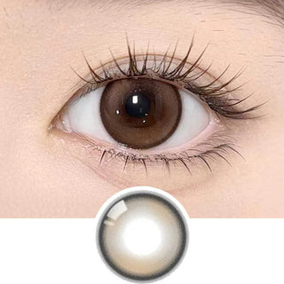 A close-up of a brown eye with long lashes wearing Olola Meow Natural Coon Brown contacts by Olola, highlighting how these lenses enhance the eye’s natural color.