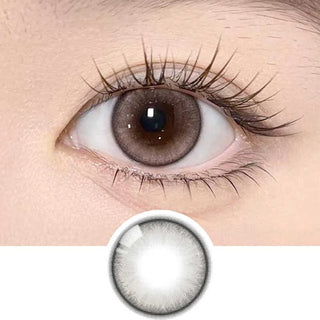 A close-up of a brown eye with long eyelashes, wearing Olola Meow Natural Kitten Beige contacts by Olola for a subtle look. Below the eye is a separate image of the gray lens on a white background.