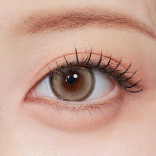 A close-up of a human eye wearing Olola Glint 1-Day Brown (10pk) circle lenses by Olola, with natural makeup, long eyelashes, and a neatly shaped eyebrow.