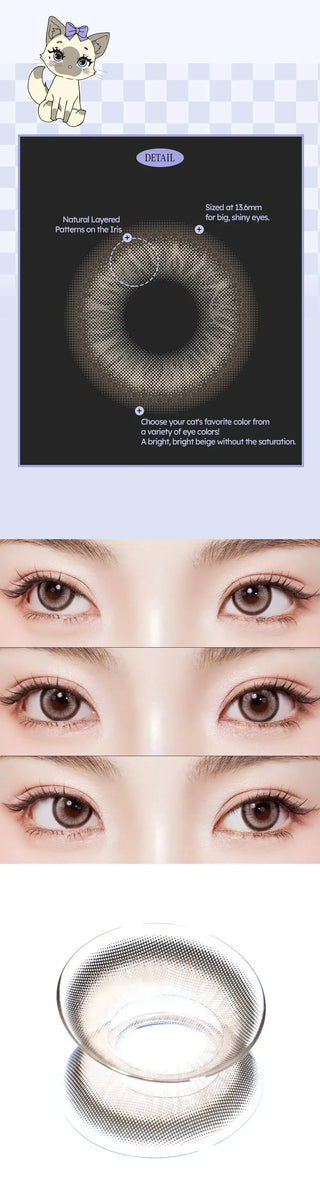 Diagram and close-up photos display Olola Meow Vivid Aby Brown color contacts by Olola on a model’s eyes, showing a natural beige-brown pattern for a radiant look. A cute cartoon cat appears in the top left. Myopia prescriptions available.