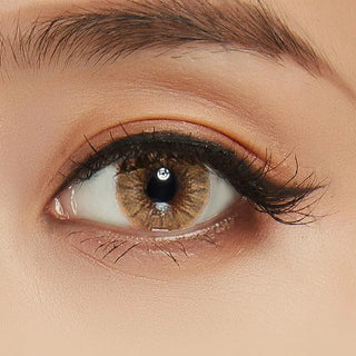 Close-up of a brown eye with long lashes, subtle eyeliner, and soft brown eyeshadow. The eye is enhanced by EyeCandys Shade Brown contact lenses from EyeCandys, blending naturally with the smooth, well-lit skin around it.