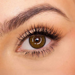 Pink Label Eyelighter Brown color contact lens on top of a dark eye paired with subtle eye makeup and curled wispy eyelashes