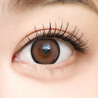 A close-up of an eye with long lashes wearing i-Sha Dekame Look At Me Sand Brown contacts, subtly enlarging the iris. Smooth skin, a defined limbal ring, and a visible eyebrow enhance the natural look.