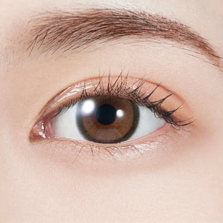 Close-up of eye wearing EyeCandys Molak 1-Day Brown Bunny (10pk) prescription colored contact lens, milk chocolate brown iris with soft two-tone gradient and defined limbal ring, natural Korean daily disposable contact lens for dark eyes
