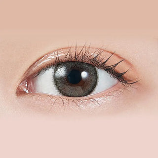 Molak Dazzle Grey (10pk) Colored Contacts Circle Lenses - EyeCandys