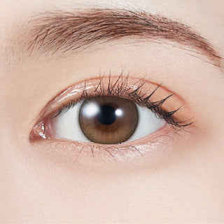 Close-up of eye wearing EyeCandys Molak 1-Day Dollish Brown (10pk) prescription colored contact lens, warm light brown iris with honey caramel three-tone gradient and fine black limbal ring, natural Korean daily disposable contact lens for dark eyes