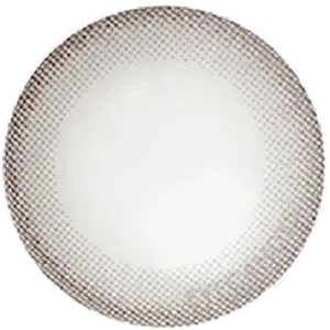A round white plate with a textured, grayish checkered rim, reminiscent of NEO Vision Monet Grey (Custom Toric for Astigmatism) by NEO Vision. The center of the plate is plain and smooth.
