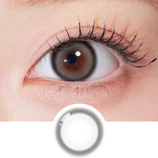 A close-up of a brown eye wearing Olola Glee Grey by Olola shows long lashes. Below, a single grey lens is displayed on white—ideal for anyone looking for non-prescription color contacts.