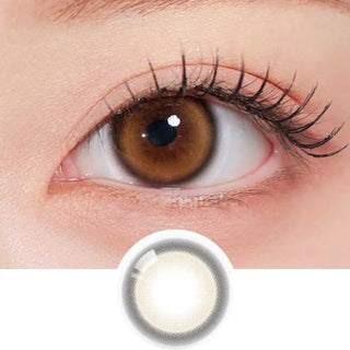 A close-up of a brown eye with long lashes is shown, accompanied by Olola Glee Brown by Olola—ideal colored contacts for dark eyes.