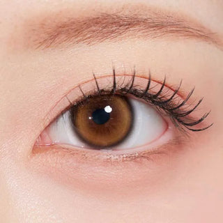 A close-up of a brown eye with long lashes and a tidy brow, highlighted by Olola Glee Brown color contacts from Olola, with clear skin around the eye.