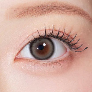 A close-up of a fair-skinned eye with long lashes wearing Olola Glee Grey by Olola. The visible eyebrow and these non-prescription color contacts combine for a striking look.