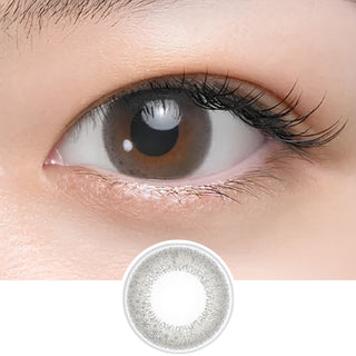 Close-up of eye wearing EyeCandys Seed Coffret Sheer Make Grey (10pk) prescription colored contact lens with lens design shown below, translucent grey dual-tone gradient with subtle brown accents, Japanese daily disposable colored contacts for natural grey eye enhancement