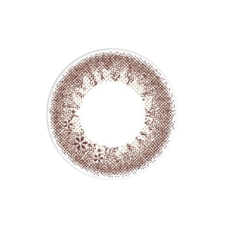 EyeCandys Seed Coffret Sweetie Make Brown (10pk) prescription colored contact lens design featuring warm brown pigments, soft pink undertone, dual-tone floral pattern, glossy finish, Korean daily disposable contact lens for natural eye enhancement