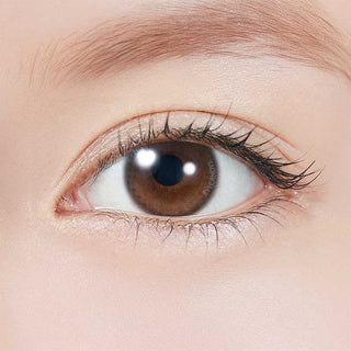 A close-up of a brown eye with long lashes and a groomed brow, featuring clear skin and iris detail enhanced by Topards 1-Day Glow Brown (10pk) contact lenses from Topards, which offer UV protection.