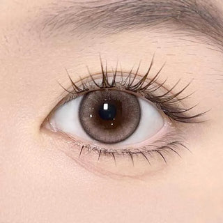 A close-up of a human eye wearing Olola Meow Natural Kitten Beige color contacts by Olola, with long eyelashes and light skin. The beige contacts enhance the natural look, and the eyebrow is visible at the top of the image.