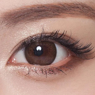 A close-up of a brown eye with natural makeup, featuring NEO Vision Monthly Extra Dali Brown lenses, shimmery eyeshadow, eyeliner, and mascara on upper and lower lashes. The eyebrow is neatly groomed.