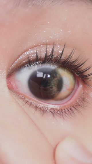 Macro shot of dark brown eye wearing EyeCandys Sugarlook Brown colored contact lens with long lashes. Top prescription circle lenses for a soft, dolly look