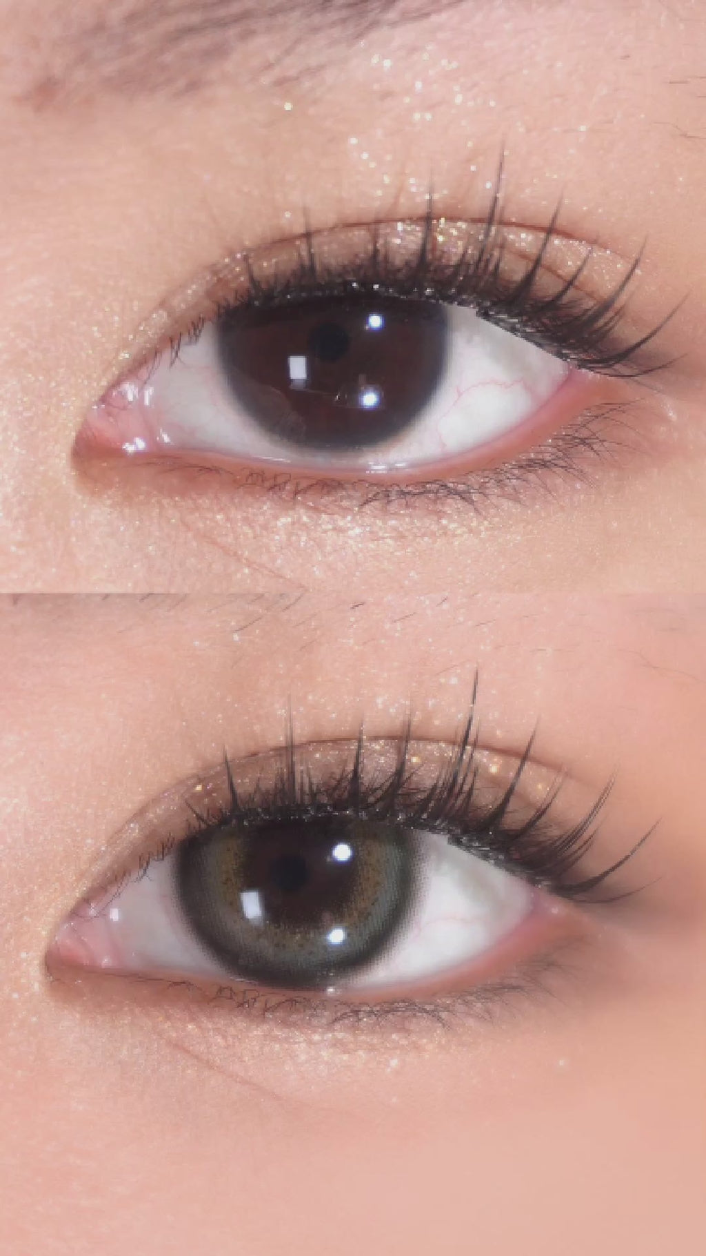 Application of EyeCandys Maddie Green prescription colored contact lenses. These color contact lenses feature a slightly bigger graphic diameter and a prominent limbal ring to naturally enhance and enlarge the eyes. Premium prescription colored contact lenses for added depth and definition