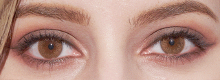Close-up of a person's face featuring both brown eyes with natural makeup, well-groomed eyebrows, and EyeCandys Attitude Glitter Brown color contacts by EyeCandys that enhance their natural look.